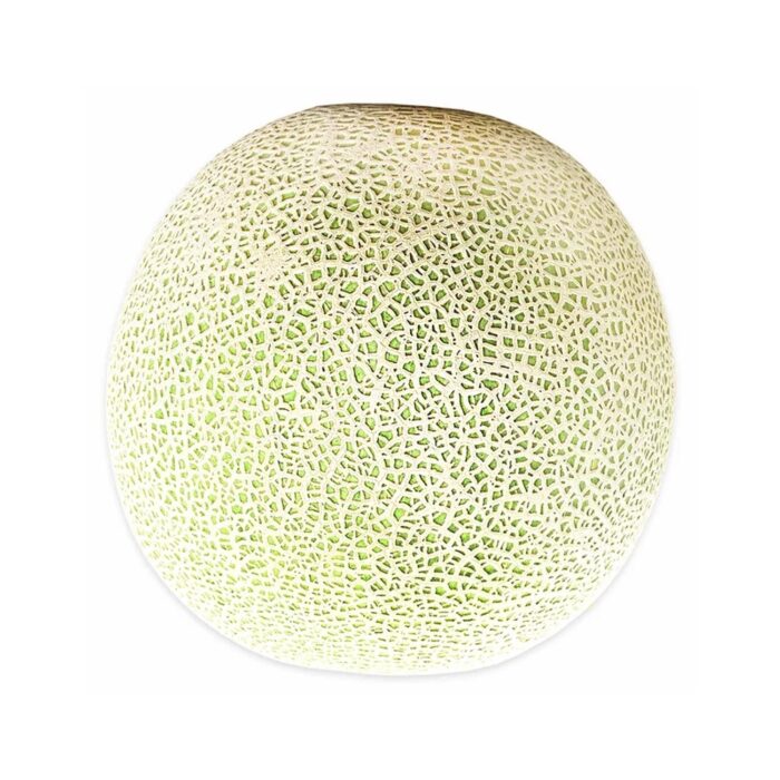 Cantaloupe Melon Fresh Organic Cut - Image 2